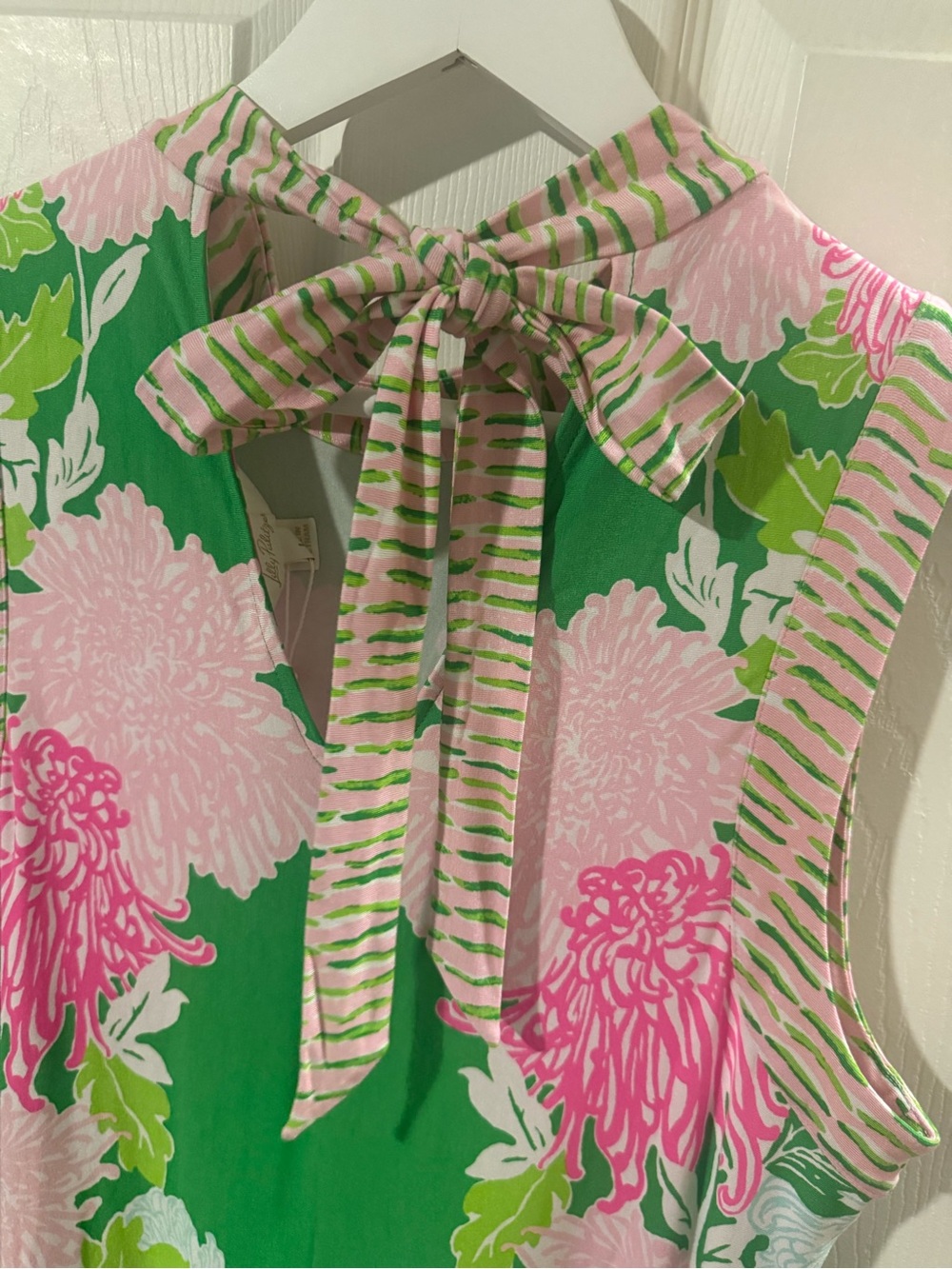 Brand New w/ Tags! Lilly Pulitzer Wellington Maxi Dress! Pink & Green Large! - Picture 3 of 7